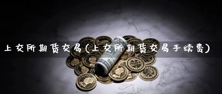 上交所期货交易(上交所期货交易手续费)_https://www.vyews.com_期货百科_第1张