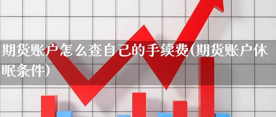 期货账户怎么查自己的手续费(期货账户休眠条件)_https://www.vyews.com_国际期货_第1张