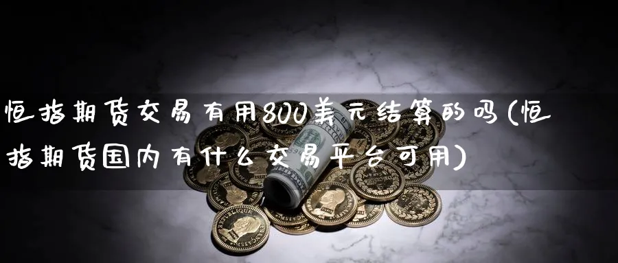 恒指期货交易有用800美元结算的吗(恒指期货国内有什么交易平台可用)_https://www.vyews.com_期货行情_第1张