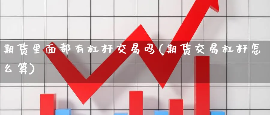 期货里面都有杠杆交易吗(期货交易杠杆怎么算)_https://www.vyews.com_股指期货_第1张