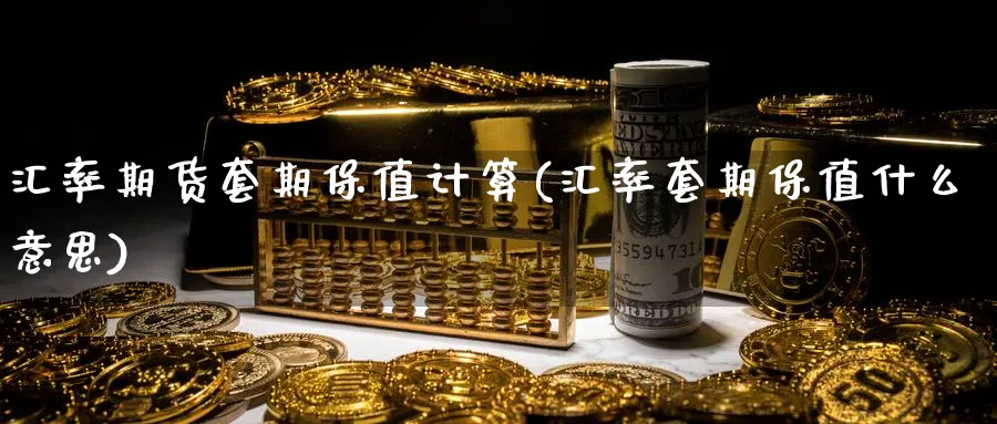 汇率期货套期保值计算(汇率套期保值什么意思)_https://www.vyews.com_期货品种_第1张