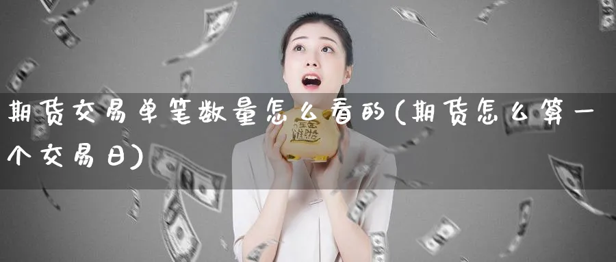 期货交易单笔数量怎么看的(期货怎么算一个交易日)_https://www.vyews.com_期货行情_第1张